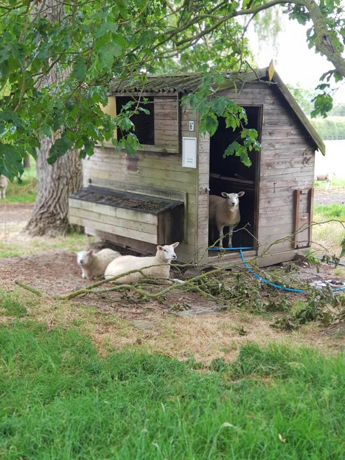 The Cosy Hut Villa Faversham Bagian luar foto