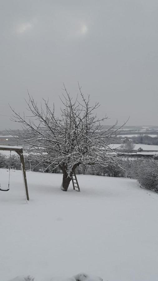 The Cosy Hut Villa Faversham Bagian luar foto